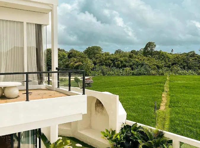 Tropical Aurelia 4 Bedroom & Rooftop * Canggu (Bali)